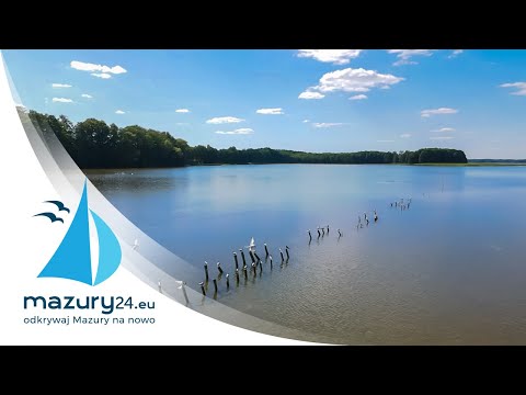 Flora i Fauna na Mazurach, lipiec 2020