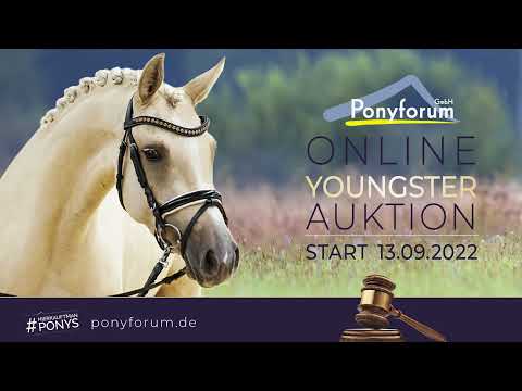 Take Time Hengst 2020 v. The Breas My Mobility / Londonderry