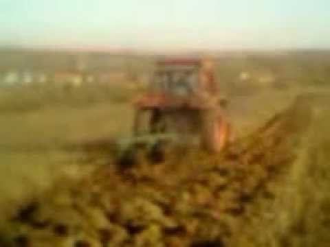 u 650 cralovat timis