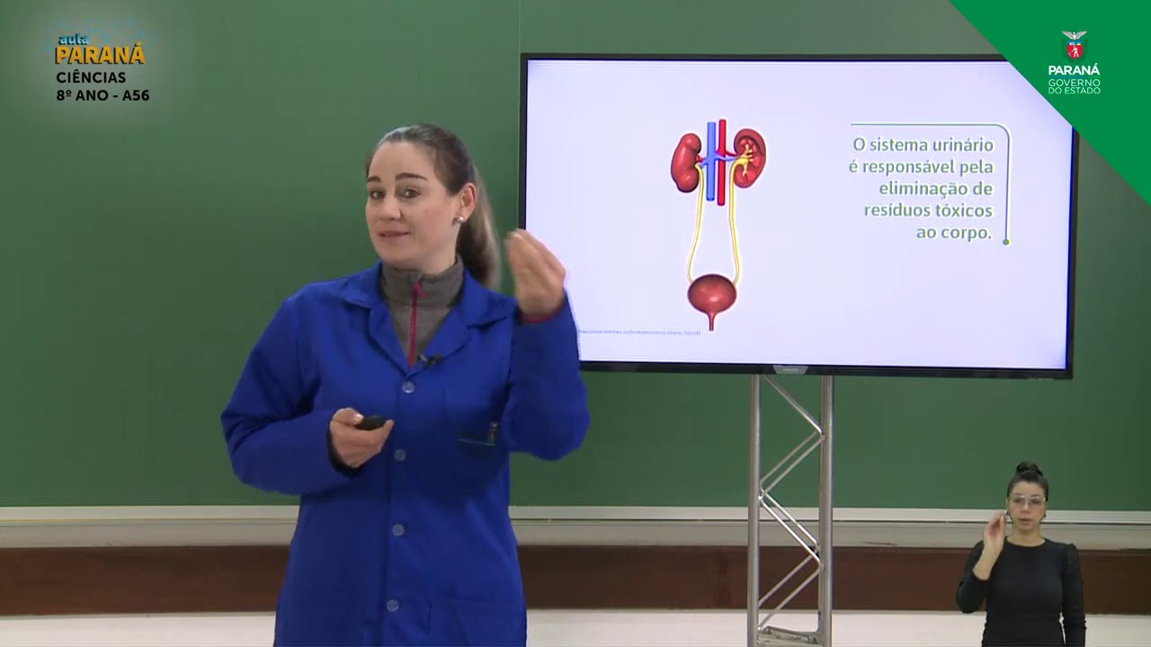 8º Ano | Ciências | Aula 56 - Sistema Urinário - Parte 1