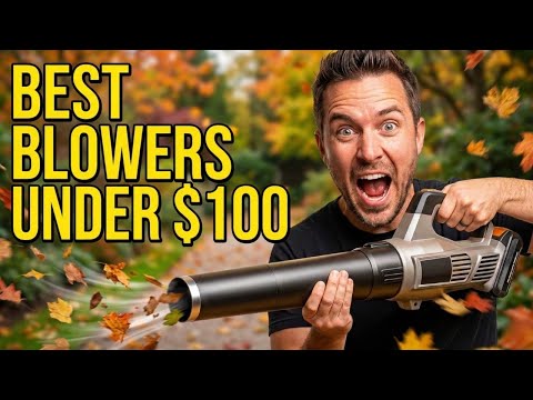 SOARFLY Cordless Leaf Blower – 650 CFM | 28,000 RPM Brushless Motor, 2×4.0Ah Battery & Fast Charger, 3-Speed Turbo Mode, Lightweight Electric Leaf Blower for Lawn Care, Patio, Snow, Leaves, Dust video review thumbnail
