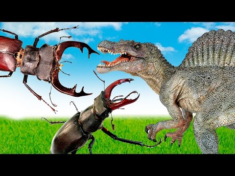 Dinosaurs - Spinosaurus VS Beetles. Tyrannosaurus in the Dinosaurs’ valley against stag-beetles