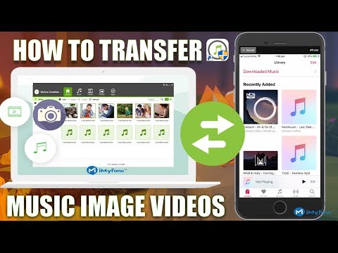 Transferring Videos From iPhone to iPad Using Professional Tools