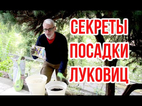 , title : 'Все секреты и способы посадки луковичных / Игорь Билевич'