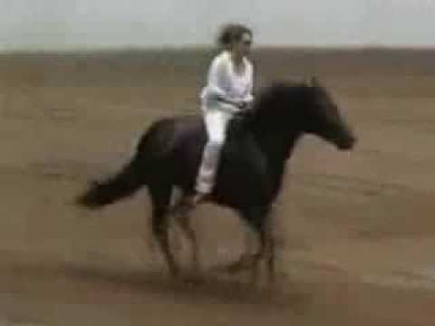 Znakomita jazda na koniu bez siodła