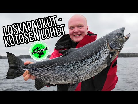 Loskapaukut - Kutosen Lohet