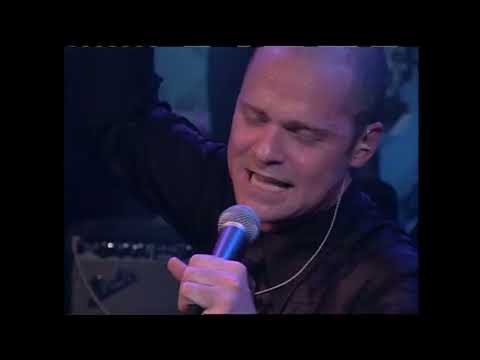 Tiger the Lion - The Tragically Hip