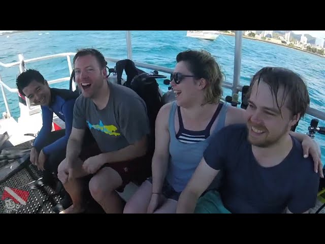 Two SCUBA divers watching a reef shark swim in the distance near Horseshoe Reef, Oahu.