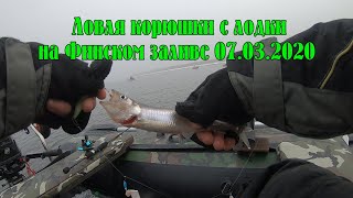 Ловля корюшки на финском заливе 2020 где лучше клюет