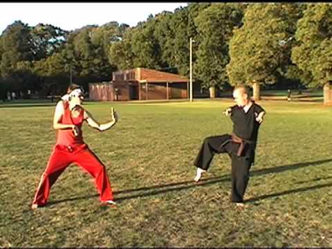 The Pink Horse of Whimsy - "Danny vs Simon" - Part 2: Karate