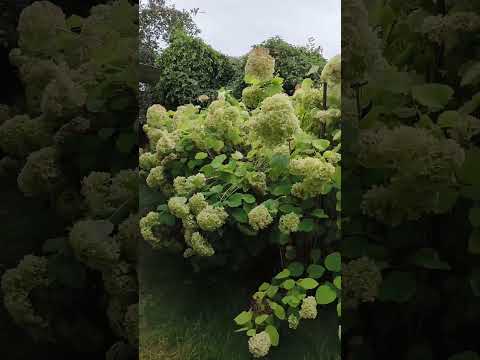 Купить дом, г. Барановичи, ул. Озерная