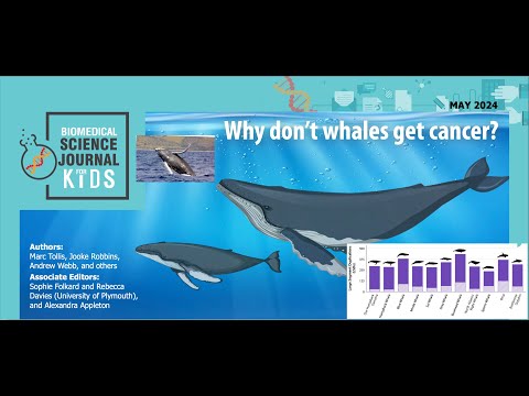 E122: Why don't whales get cancer? [SJK Audio Edition]