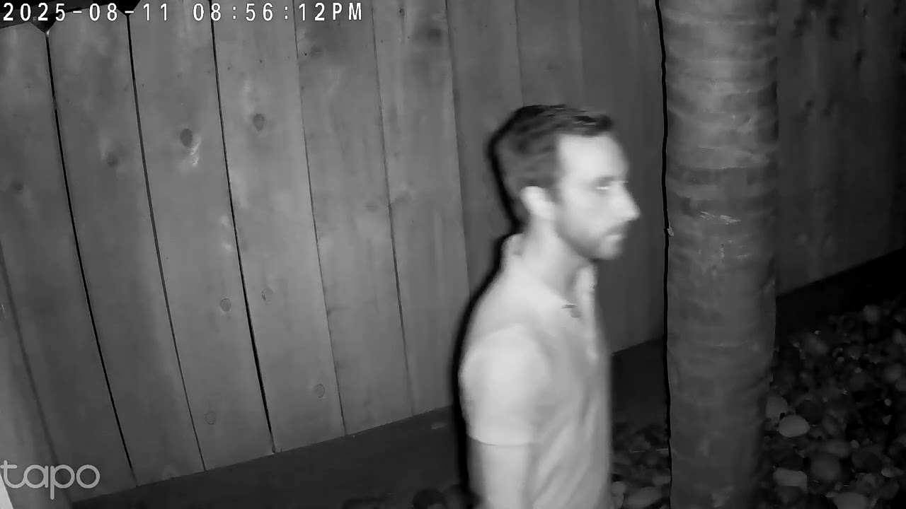 TP-Link Tapo C246D HybridCam Duo - IR Tele - YouTube