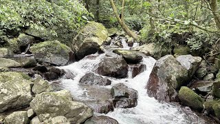 天溪園尋幽訪春