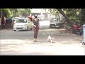 Sexy Hot Actress Sophie Choudhary Ass Naked Butt