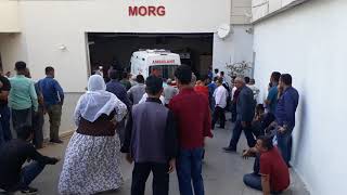 SİİRT'TE, 2 AYRI İLÇEDE 2 KORUCU ELEKTRİĞE KAPILARAK HAYATINI KAYBETTİ