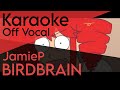 KARAOKE BIRDBRAIN JamieP Off Vocal