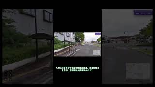 【Geoguessr】ずんだもんに超駆け足でGeoguessr実況解説させてみた‐その２【ずんだもん】#shorts #short #ずんだもん