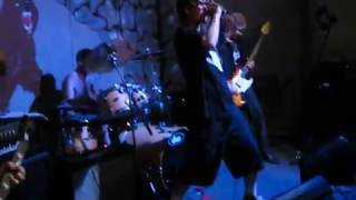 Anything Sideways  Freezer grinspoon cover