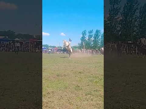 47° fiesta de la tradición buena esperanza San Luis