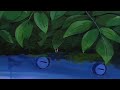 el perro del mar - to give love / slowed + reverb