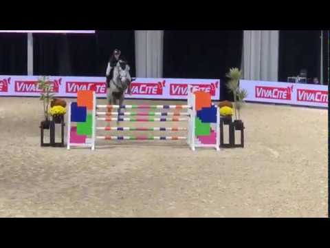 Understood Z (Untouchable 27 x Kannan) Born in 2011