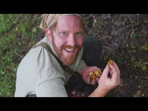 YOUR FRIENDLY FOREST FORAGER