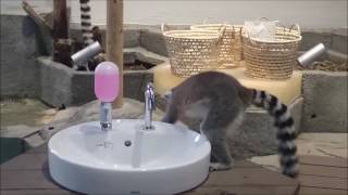 直観、体感型水族館ニフレルの大興奮ゾーン