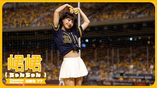 飛向黃潮📣 峮峮 （ちゅんちゅん）チュンチュン  Passion Sisters 中信兄弟啦啦隊 cheerleader  臺北大巨蛋 2024/9/22【台湾チアTV】