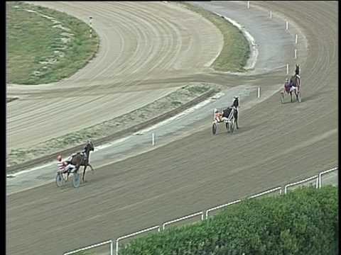 Trotto 12/05/2017 - 1ª prova di qualifica