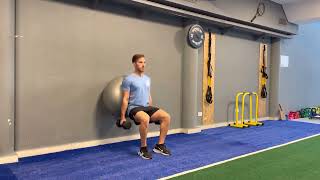 Fit Ball Wall squats