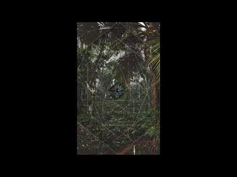 Tzu ~ Jan   Vi va cious India