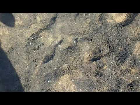 Shining sands in Hengam Island, Iran