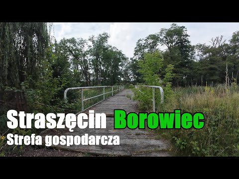 Strefa gospodarcza w Straszęcinie, ośrodek Borowiec