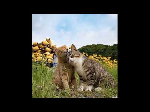 [FREE FOR PROFIT] Glaive x Ericdoa Pop type beat | friends