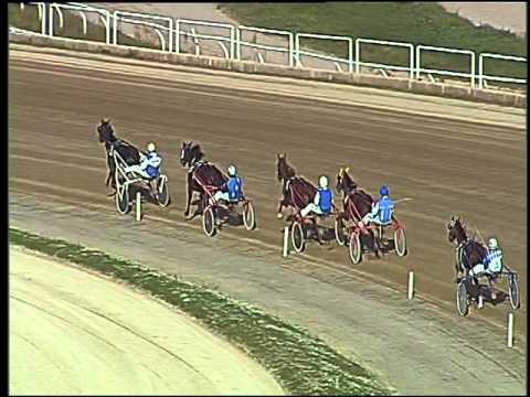 Trotto 15/11/2015 - 1° prova di qualifica