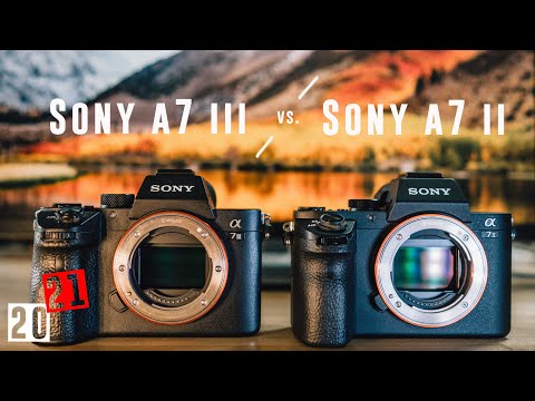 Sony A7 II vs. Sony A7 III