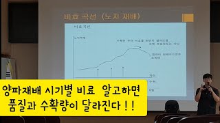 돈버는 양파 고품질 다수확 비료관리