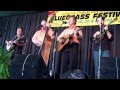The Crowe Brothers - Cindy Mae