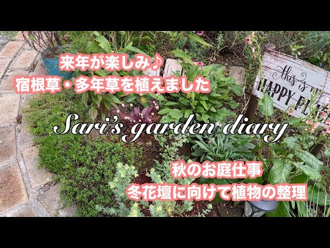 plantes retombantes -vivaces-lierre