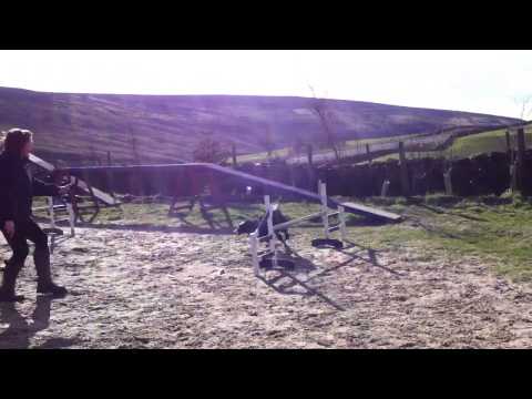 Jo and Flash 24/02/2014