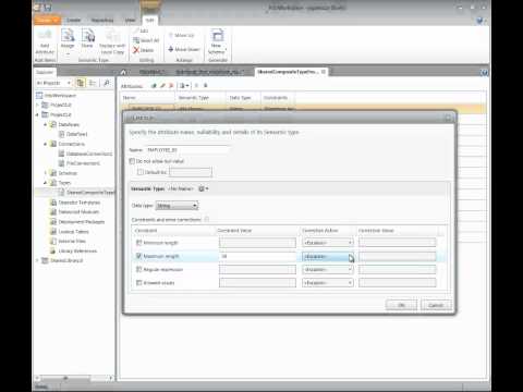 Tutorial: Usage of Schemas and Semantic types