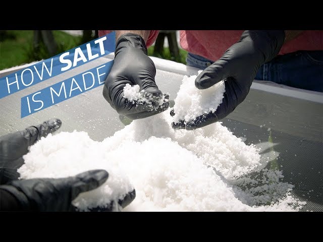 Video de pronunciación de salt en Inglés