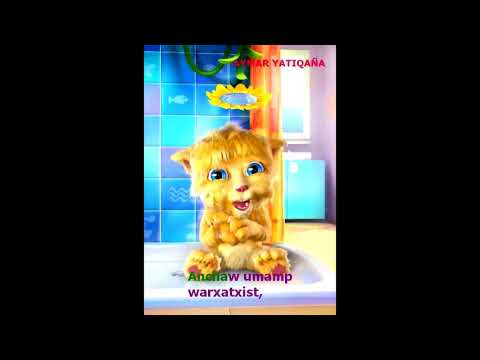 AYMARA   GATO RIÑENDO A UNA PERSONA   JAQIR TUQISIR PHISI