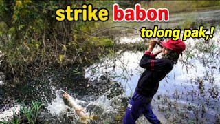 Download lagu The Moment a Kid Breaks a Record,,!! First Time a Kid Strikes a Giant Snakehead and Causes a Stir mp3