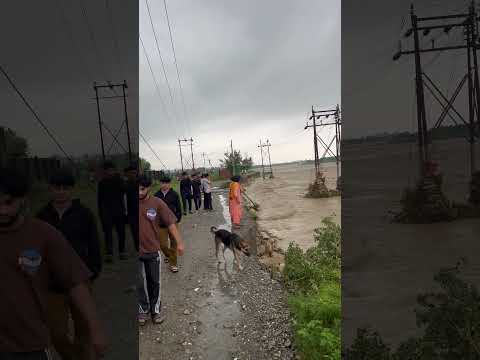 Dehradun cloud  burst #shorts #dehradun #mafiasong