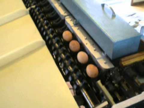 Ben Nevis Egg Grader - 2
