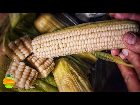 ¿Cómo cocer elotes fácilmente para que queden tiernos y deliciosos?