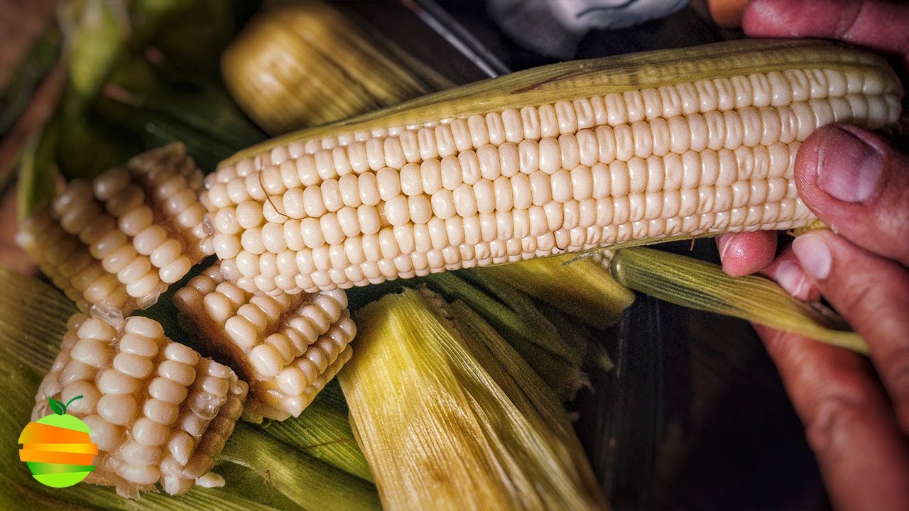 ¿Cómo cocer elotes fácilmente para que queden tiernos y deliciosos