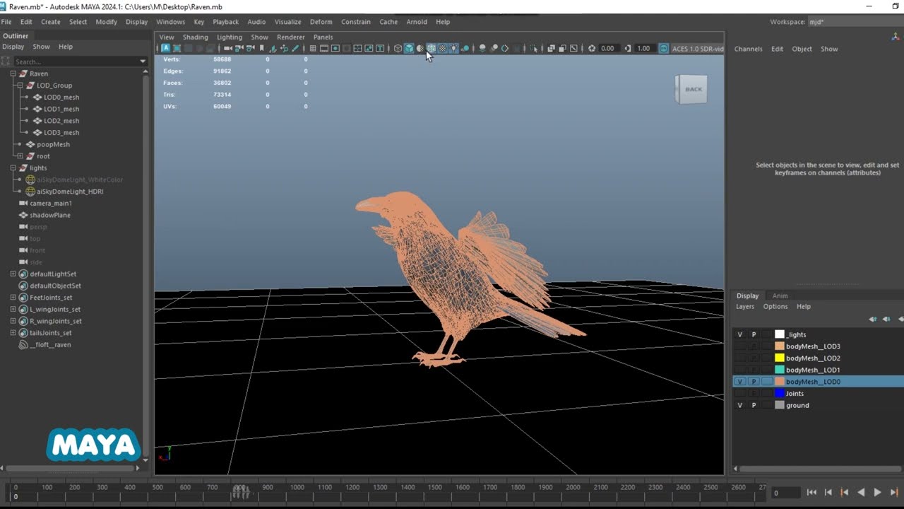 Corvo animato realistico Modello 3D